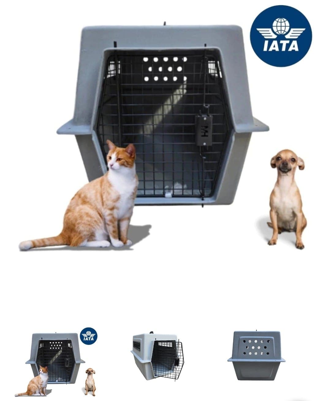 Transportadora talla S