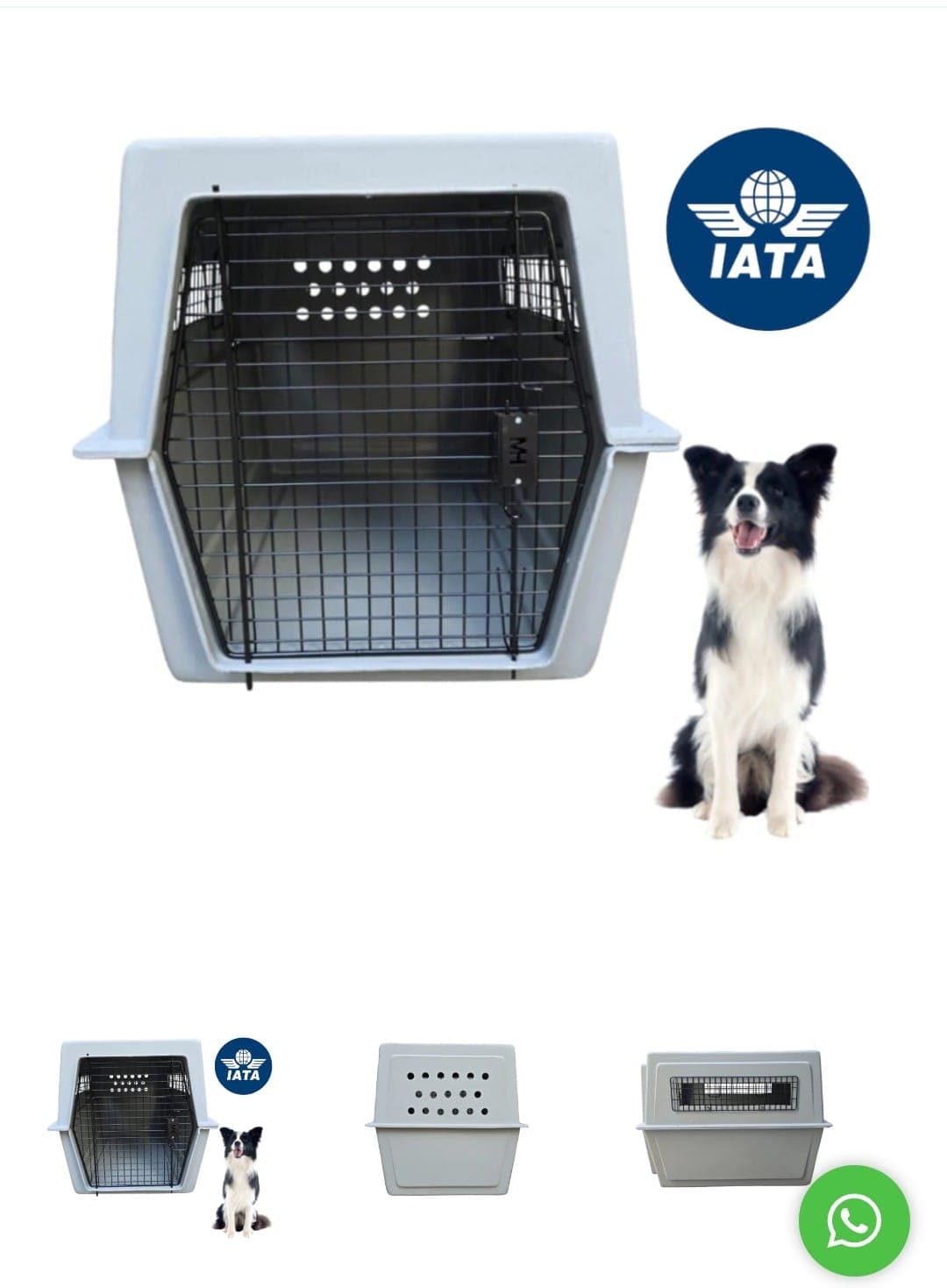 Transportadora talla L