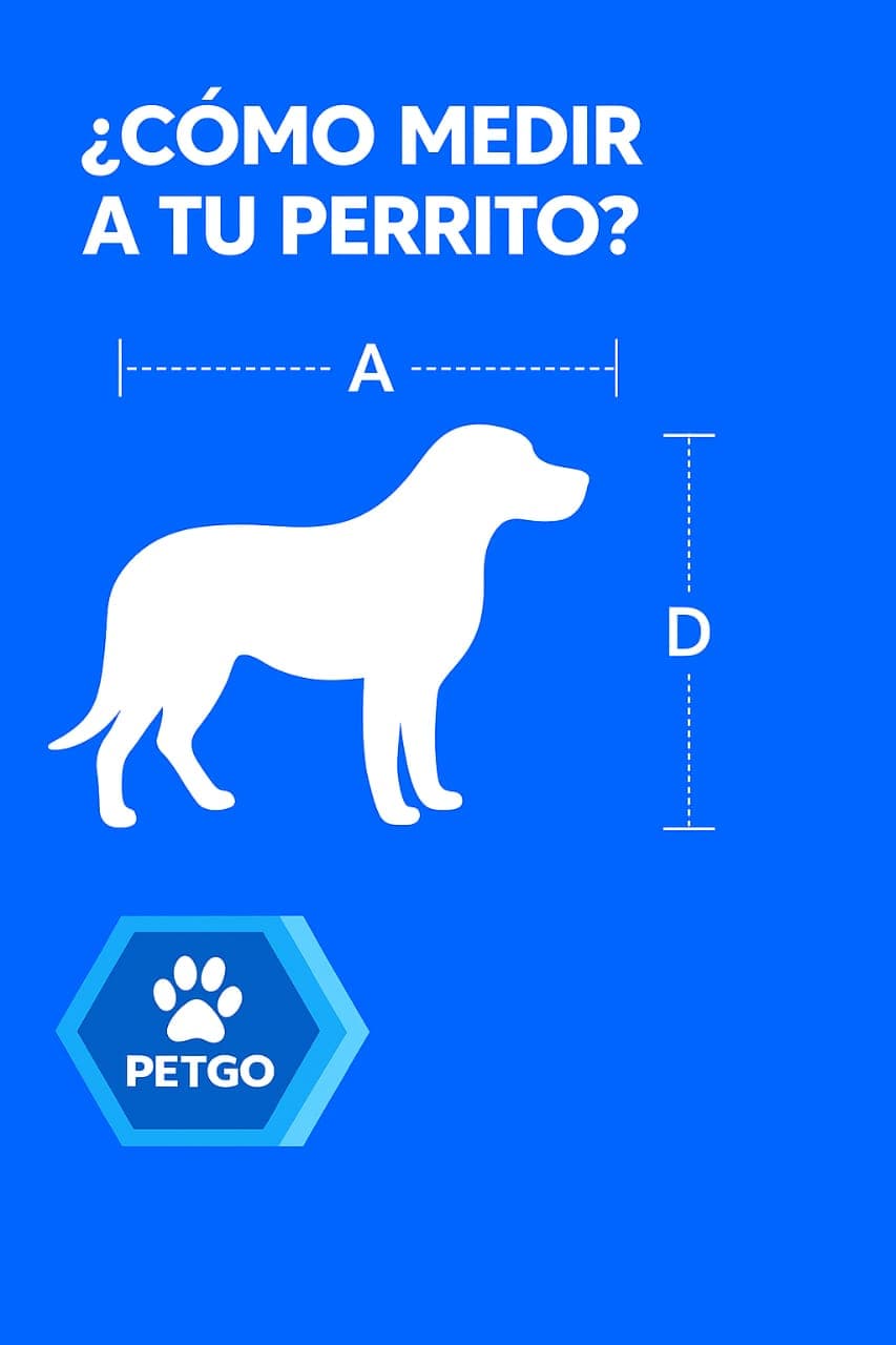Cómo medir correctamente